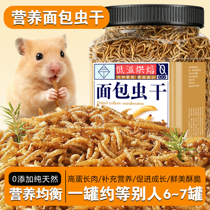 Dried Mealworms, Yellow Mealworms, Barley Worms, Black Water Beetles, Crickets, Dried Bird Food, High-Protein Hamster and Turtle Food, Fish Food