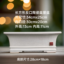 �辰�����մɴ�̖�L���λ���͹��Ѽy���R�۾��^���⻨���¿�