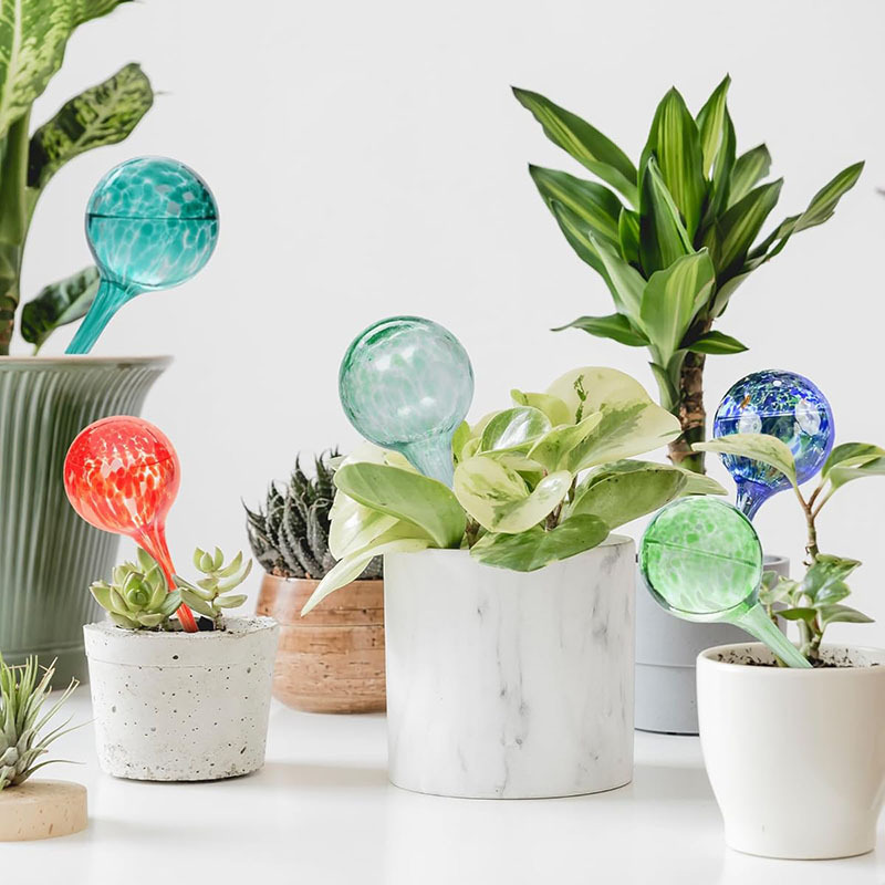 Perezoso riego de flores artefacto de vidrio de punto de color translúcido riego automático de agua por goteo para plantas verdes domésticas jardinería en maceta
