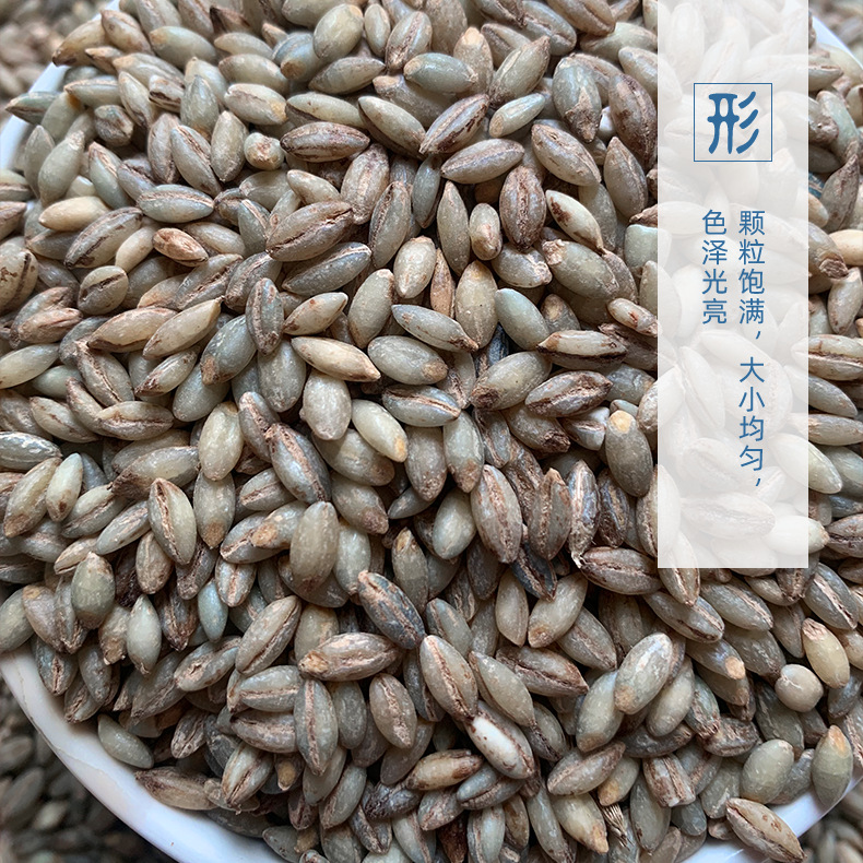 【青海直发】正宗蓝青稞米西藏青稞麦仁纯青稞糖友低升糖五谷杂粮