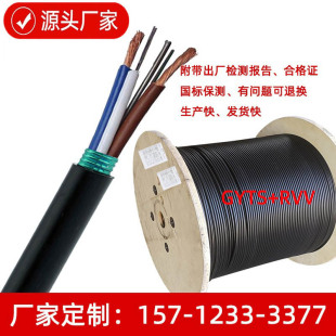 �S�ҹ�늏ͺ��|24о���w��2����4.0�Դ�� GYTS-24B1+RVV2*4.0