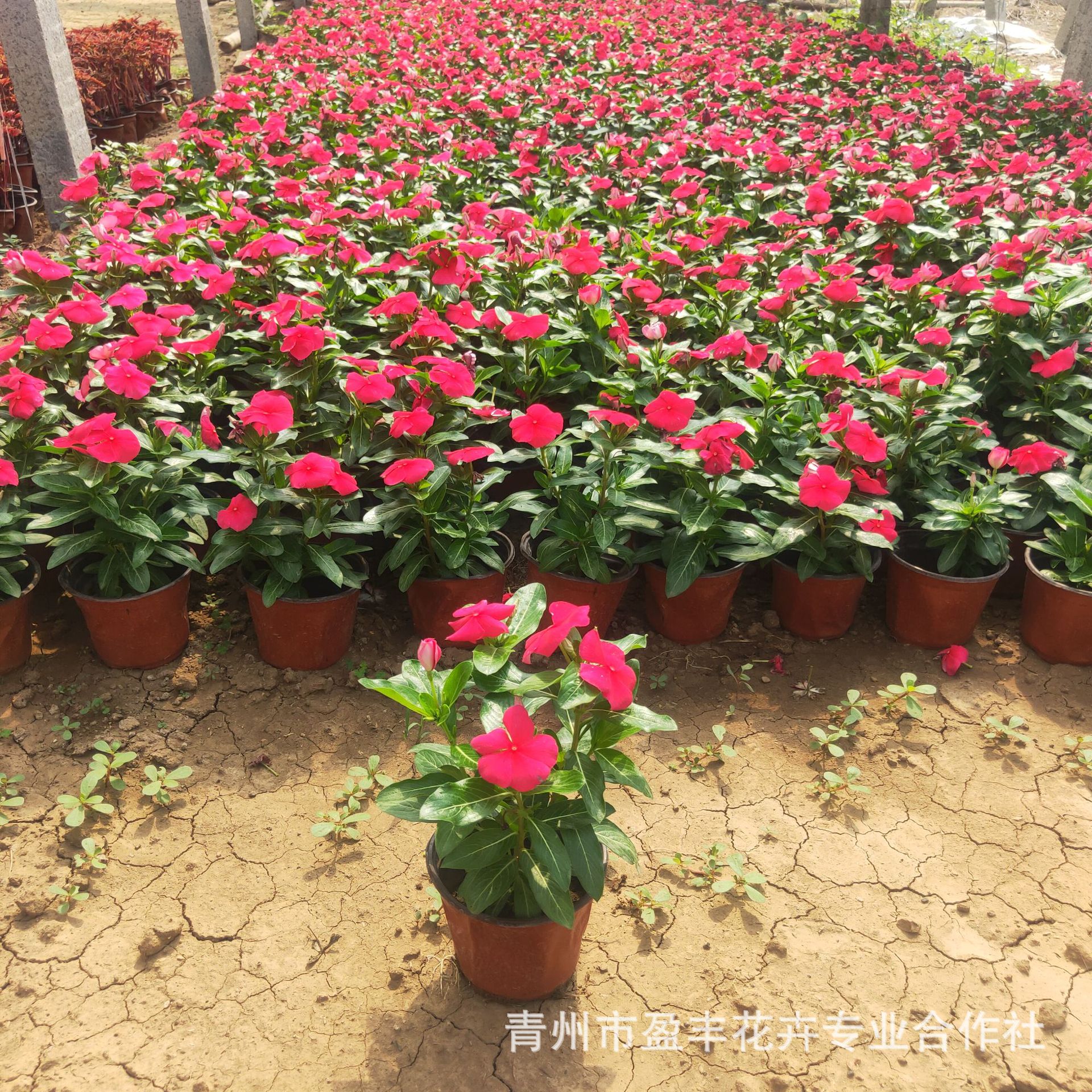 微信图片_202111080900151