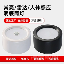 吸顶灯;感应开关;其他室内灯具