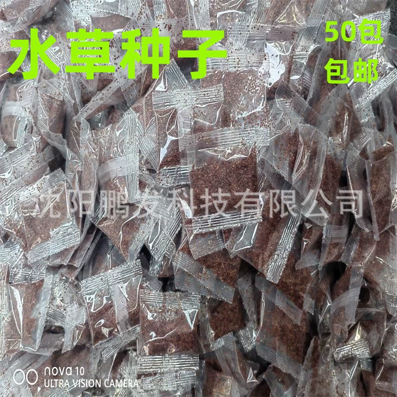 Водные семена травы аквариум озеленение Водные семена травы не нужно CO2 Водные семена травы Семена Водные семена травы прорастают быстрый пакет Жить Хорошее выращивание