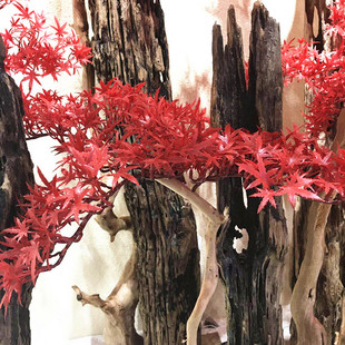 �¿��֧�t���~ ��֦���͘����� ���㾰�^�辰���ϾGֲ�uצ�~