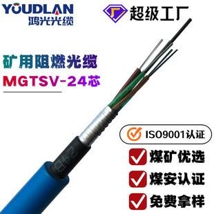 ú�V����h������ʹ�Ìӽgʽ�V����ȼ���|MGTSV24о�z�b��ģ���w