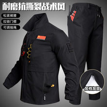 ���＾���������b���Բʷ���ĥ��˺�ѹ��b�ڱ��Ӻ�͸����Ӗ�����d