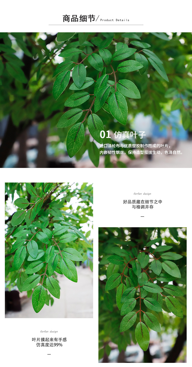 2榆树_07.jpg
