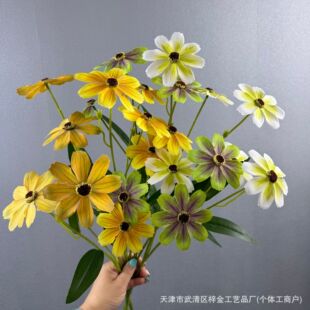 �羳�����ӡ6�^��Ӣ����沨˹�ջ���Y��ܛ�b��ˇ�廨�ٻ����l