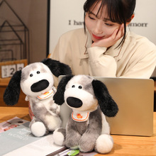 С�����ɐ�ë�q��߄�����ż��Ů���Y��ë�q�����ż�Y��