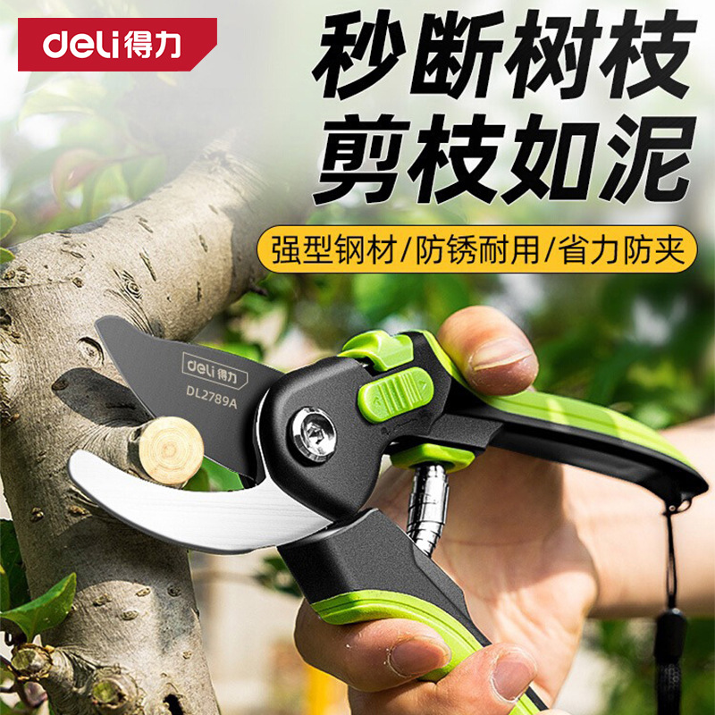 得力园艺剪刀修枝剪果树修剪树枝剪枝专用剪刀花剪修剪花卉园林