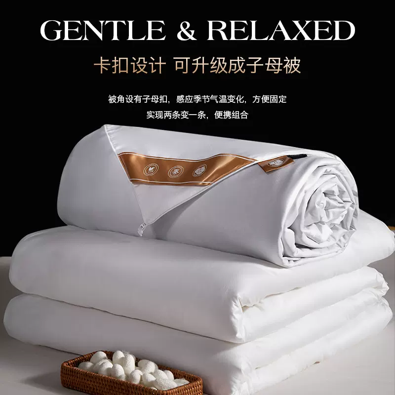 桐乡全棉桑蚕丝被加厚冬被春秋被二合一子母被芯夏凉被礼品被批发