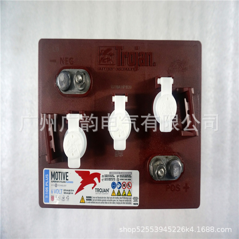 美国邱健电池 电动车 观光车 洗地机delta-q QUIQ24V36V48V充电器