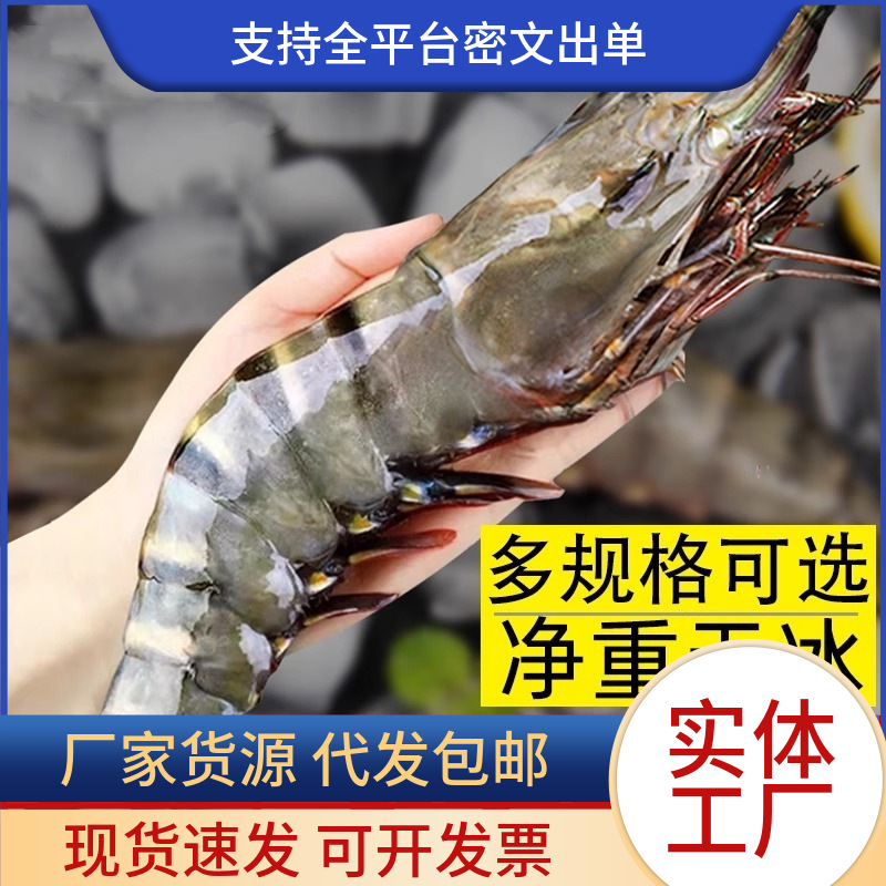 黑虎虾超大新鲜大虾老虎虾鲜活速冻特大基围虾海鲜竹九节虾斑节虾