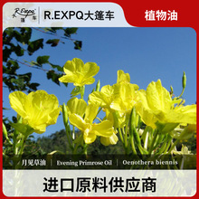 月见草油 波兰进口原料批发身体按摩适用基础油基底植物基础油