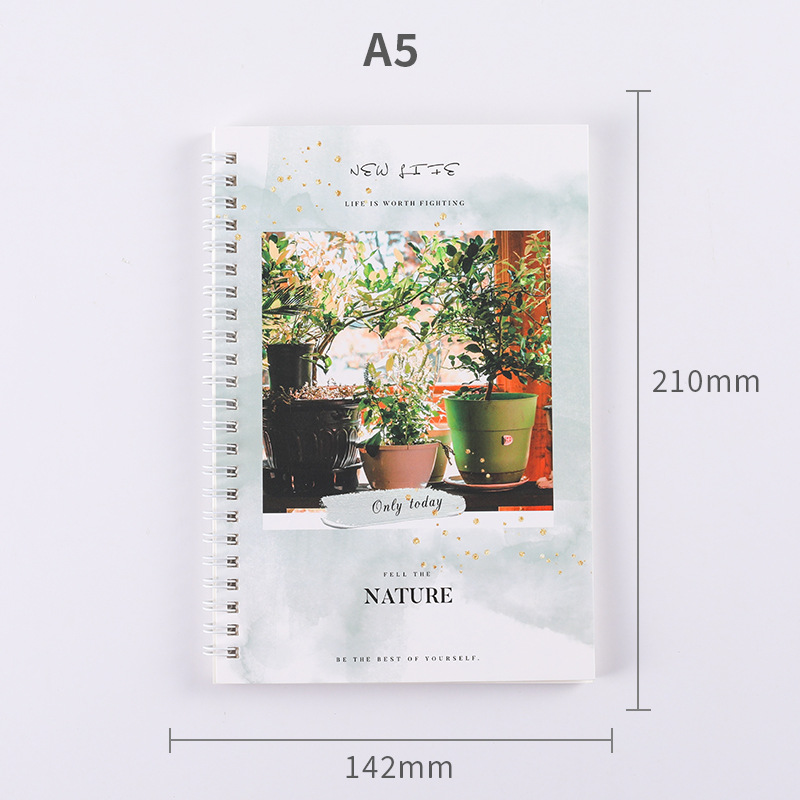 Libro de hojas sueltas fresco y fresco al por mayor