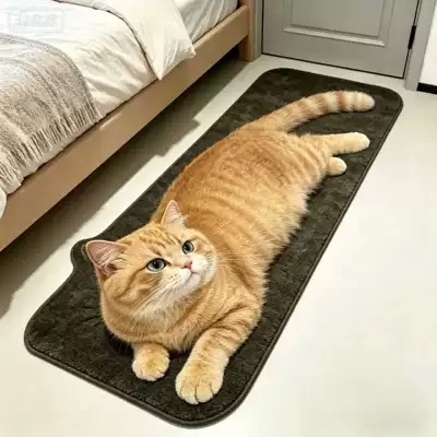 Avtomobil döşəmə paspasları — Bedroom, Water Absorbent, Dirt Resistant, Insulating - de3d-cat-4-40120cmimitation-cashmere-with-non-slip-base