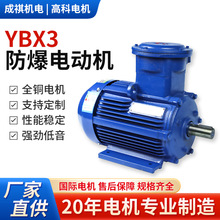 YBX3系列隔爆型三相异步电动机气体用防爆电机变频交流调速电动机