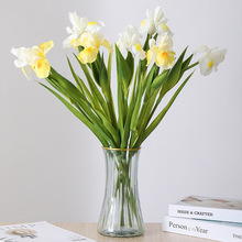 ����PU�m�Sβ�����滨ֲ��廨 �����m�Sβ�Wʽ �bٻ����l