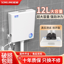 家用水箱卫生间厕所冲水箱节能马桶蹲便器蹲坑大冲力挂墙式抽水箱
