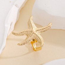 �W���羳�����L�йŽ�ָ�_�ڂ��Ժ��Ǐ͹Ž�ָŮ�F؛���lԴ�^�S��