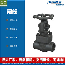 ϺyTZ61H/Yв庸քӺly A105 304ݼy ߜظ߉