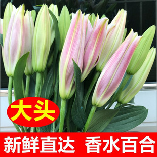 Flower Bouquet Yunnan Kunidi Straight Hair Perfume Lily Express Same City Rose 520 Valentine's Day Gift