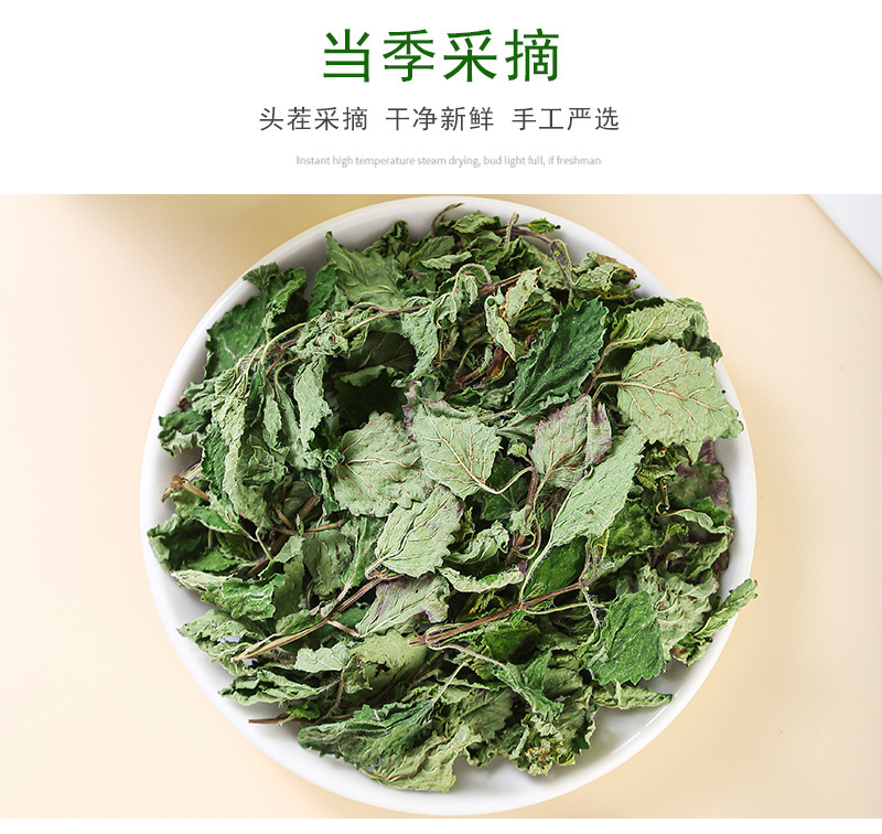 Mint Leaf Tea (Mentha haplocalyx) — Dried Food-Herb Mint for Cold Brew & Daily Infusions specifications