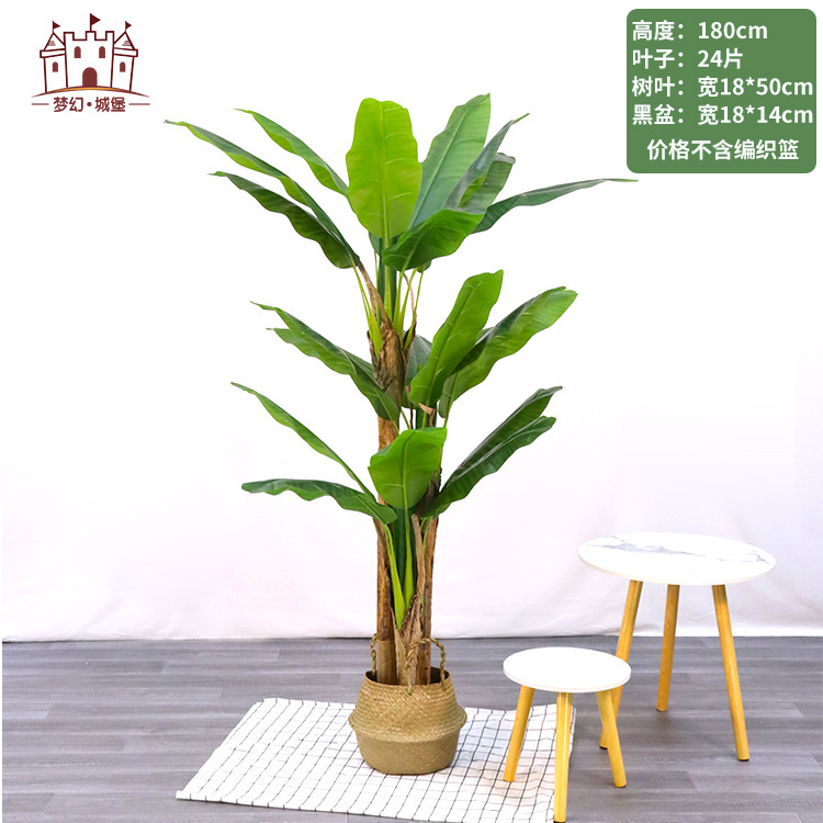 Simulación de plantación verde de plátano de bambú de tortuga grande planta de plantación de ventana interior diseño de ángulo de planta de árbol falso paisajístico