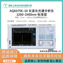 AQ6375E-10 长波长光谱分析仪1200-2400nm 标准型