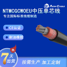 �S�ҹ����W�˵V���Љ���о��| NTMCGCWOEU�������z�����|