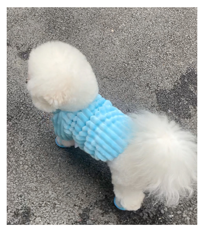 Pet Outfit 3