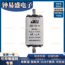 �۔���NGT-1 690V/125A-C ȫ�� NGT-1 690V/100A-C��������۔���