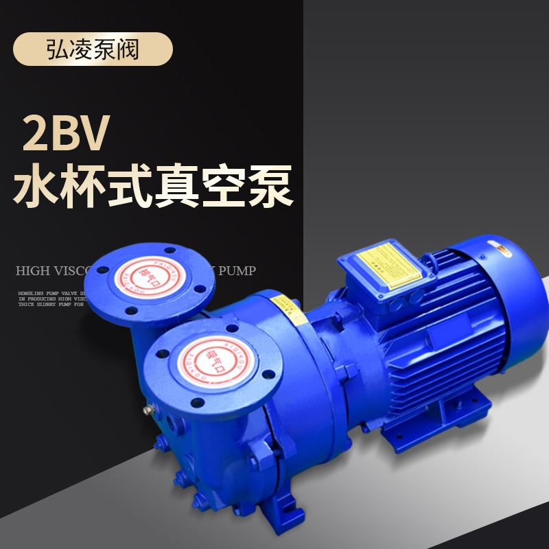 2BV水环式真空泵 SKA真空泵 不锈钢防爆水环真空泵
