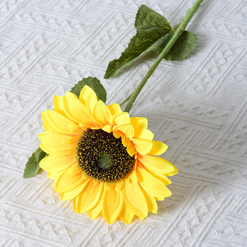 Girasoles de cabeza única (70 cm)