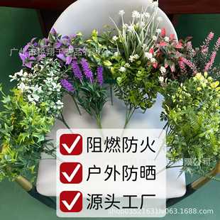 ��ȼ����Gֲ����С������ֲ�����廨�����b���Сֲ�￹UV