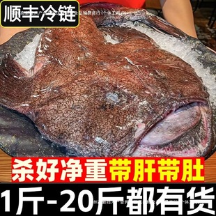 �����~���r���~�c�K�~����~���Î��~���~�ǟ��\�~��~���r