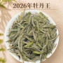 采花福鼎荒野老白白牡丹