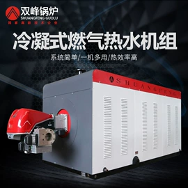 燃气锅炉;蒸汽发生器;燃煤锅炉