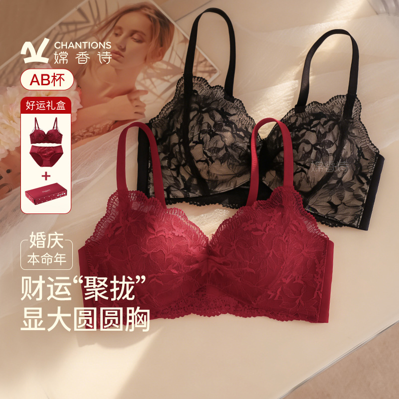 Dy2 Store17741-6