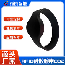 游乐场水上乐园RFID腕带手环 防水耐高温便携RFID手环