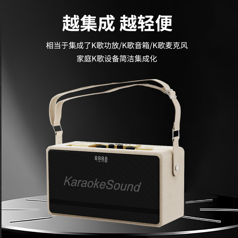 W450S ポータブル Bluetooth スピーカーデュアル U セグメントワイヤレスマイクライブブロードキャストポータブルオーディオカラオケスクエアダンス楽器オーディオ|undefined