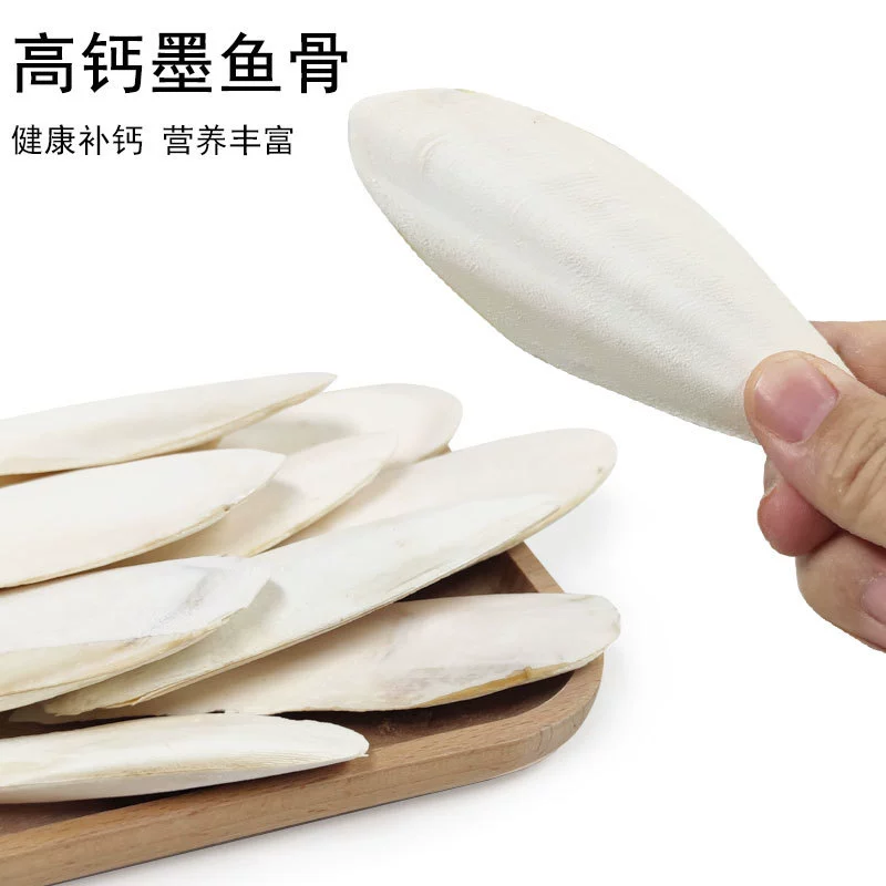 Попугай молярная кость каракатицы кальций скалолазание домашнее животное молярная игрушка птицы полированная кость каракатицы продукты птицы оптовая продажа с фабрики