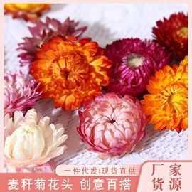 鲜花花艺制品;干花;永生花