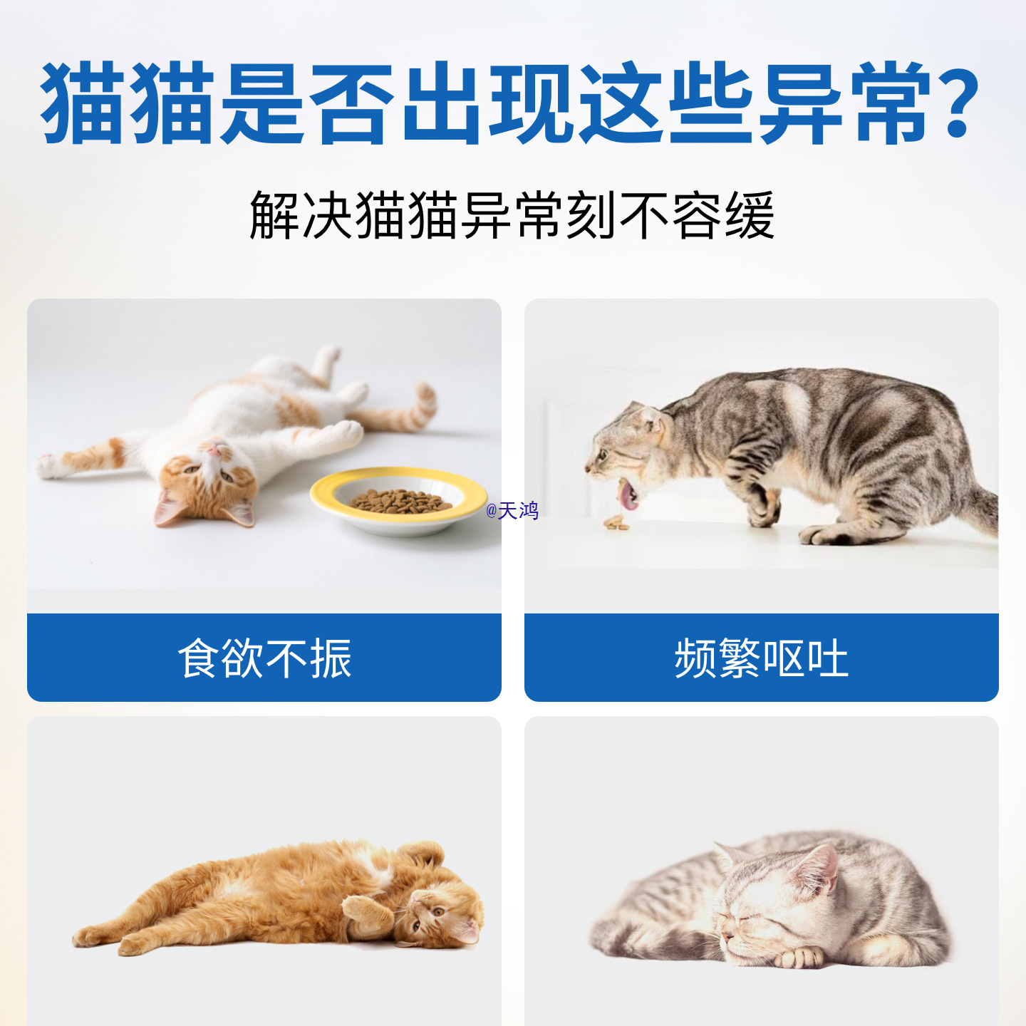 【肾脏餐包】爱喜雅金枪鱼低磷低钠营养零食猫咪呵护汤水包