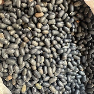 �V���p�I��500g��ș�� ʯɏ�������ݾ�������