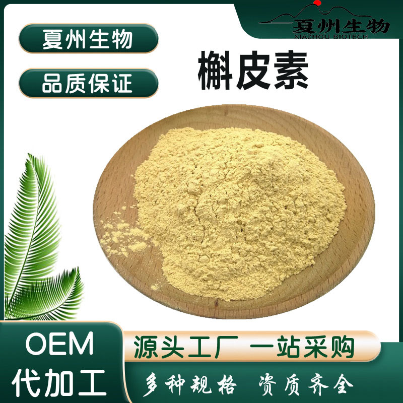 槲皮素 98% 槐米提取物 脂质体槲皮素 夏州生物 现货供应 原料
