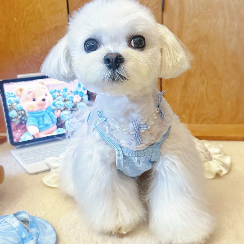 Ropa para perros verano eslingas delgadas para mascotas, lazo retro, eslingas pequeñas, encaje, chaleco lindo para gatos