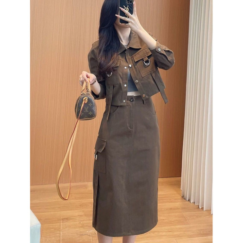 Women's Spring/Summer 2025 Workwear Set: Short Jacket + Skirt Two-Piece Fashion