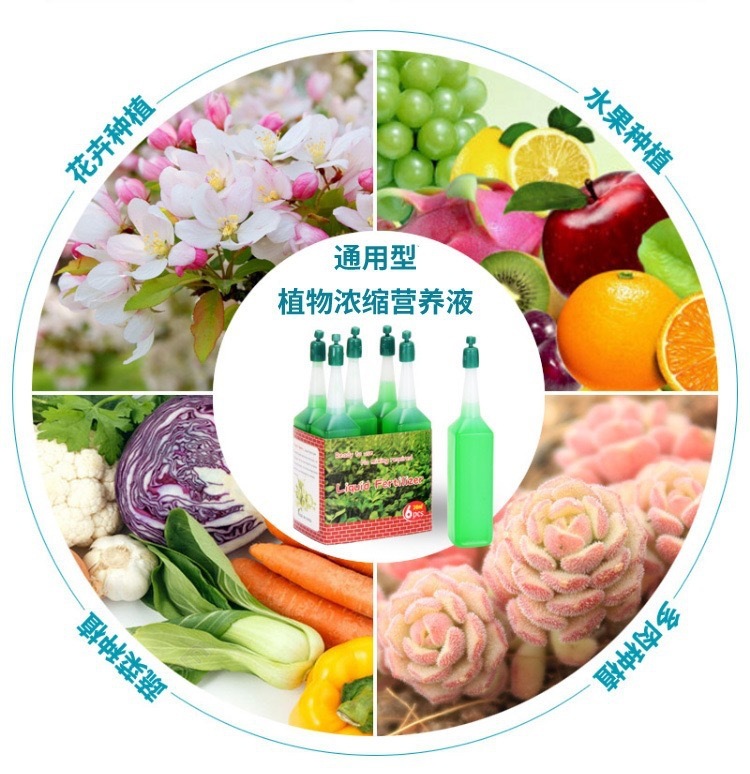 IMG_1233(20200520-171531)